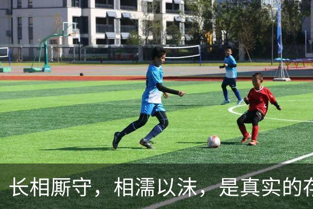 长相厮守,相濡以沫,是真实的存在吗?